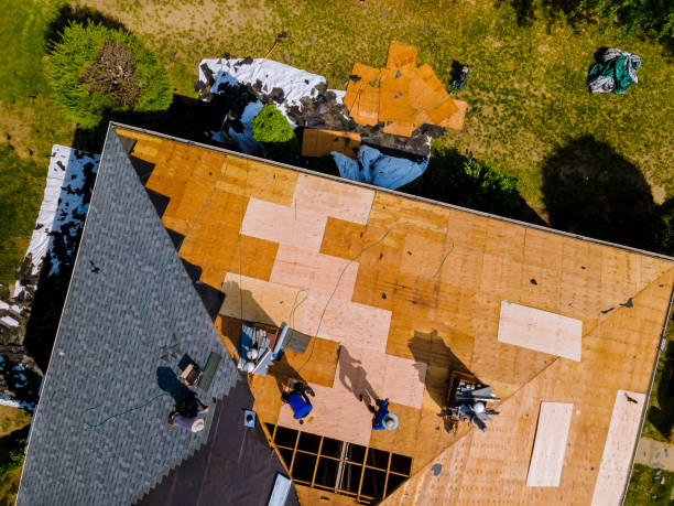 Roof Gutter Cleaning in Pearl River, LA
