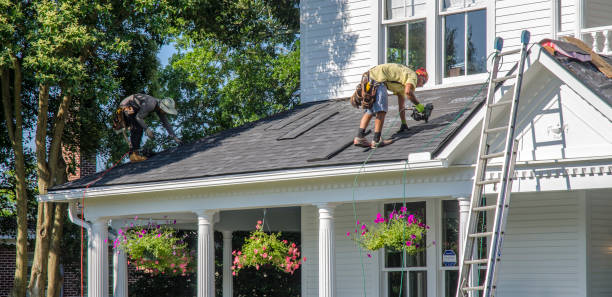 Best Roof Gutter Cleaning  in Pearl River, LA
